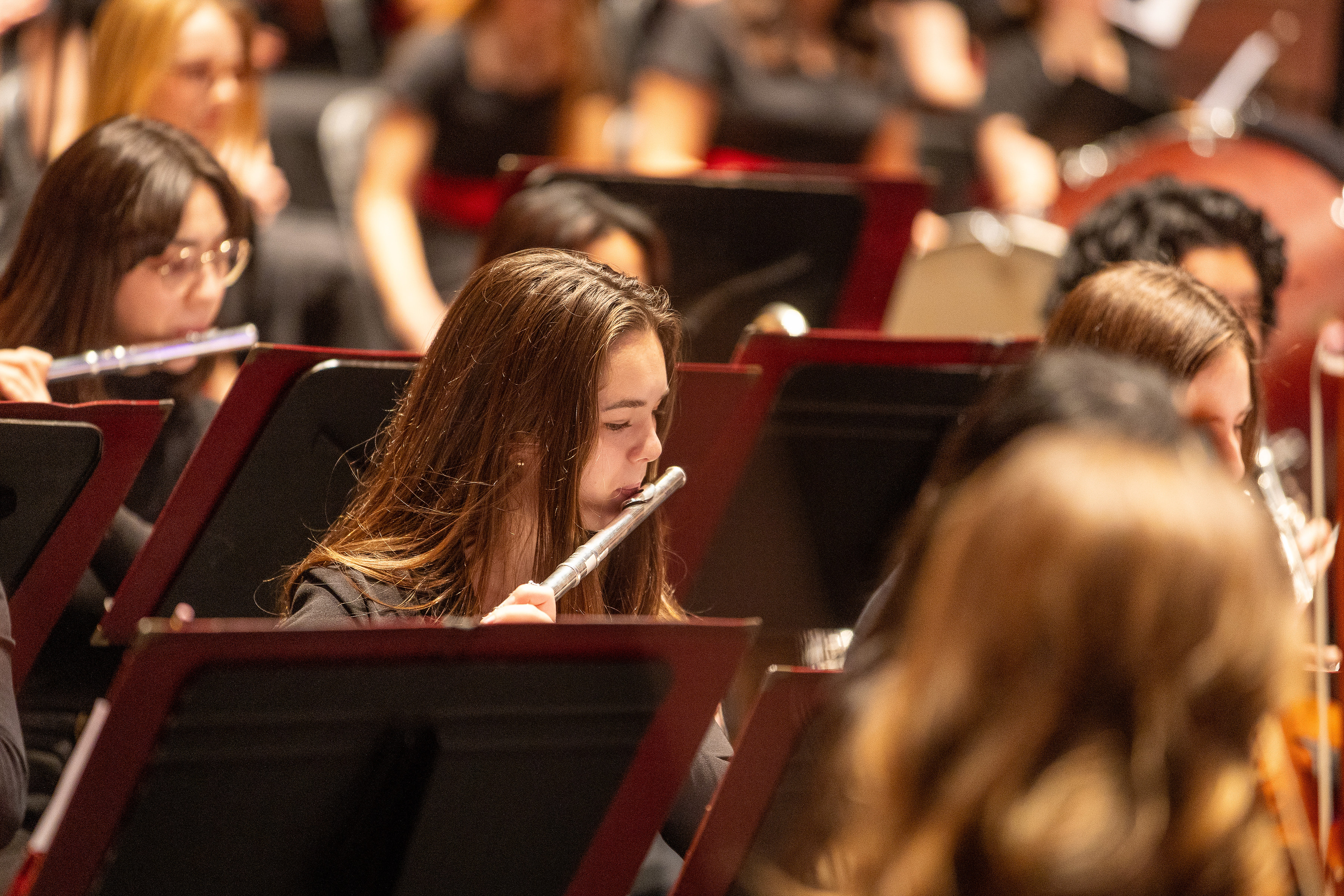 Orchestra Action Shot