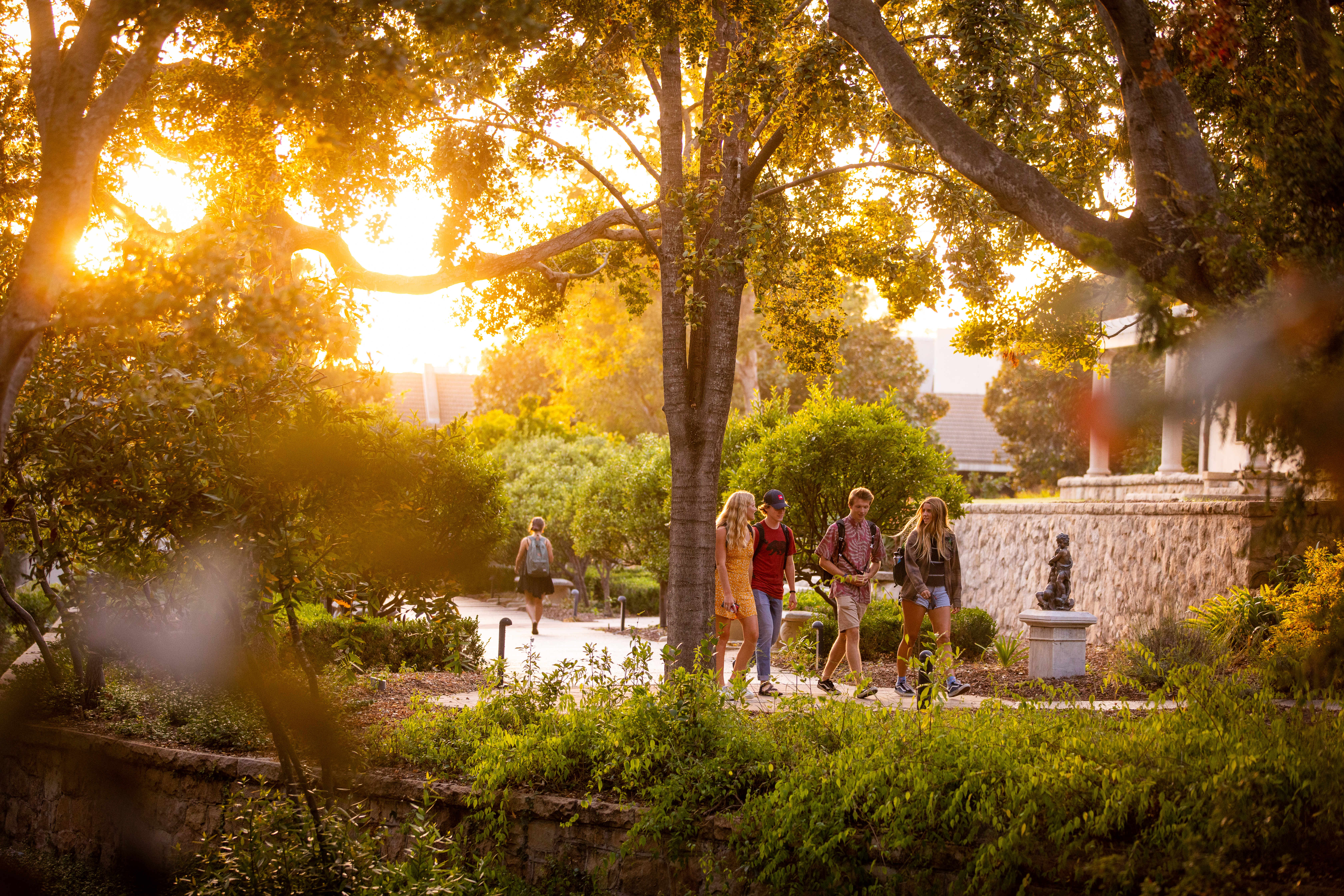 students walking on campus in golden sun