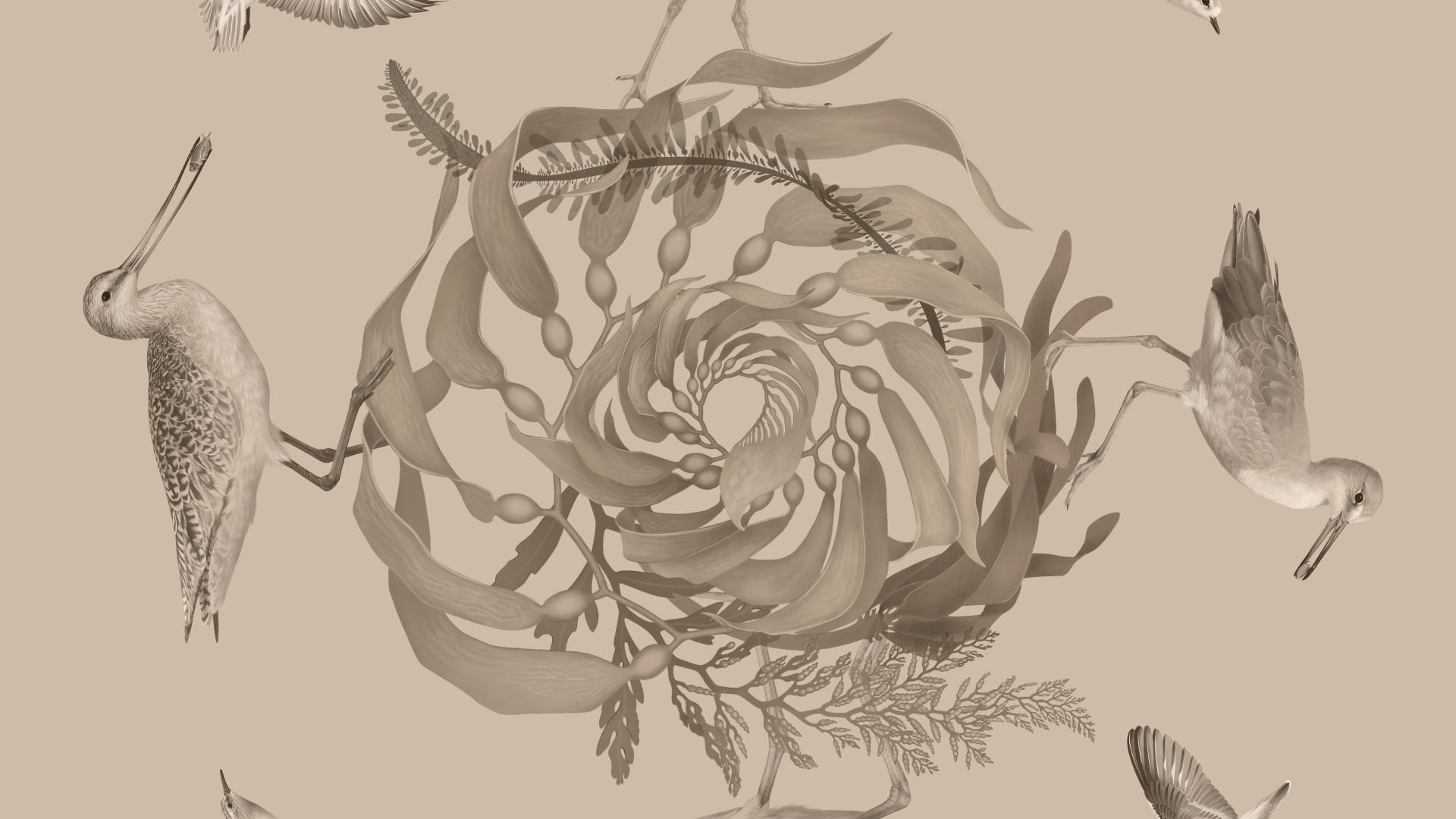 Circular, monochromatic digital painting of eight Santa Barbara shorebirds around an abstract kelp design.