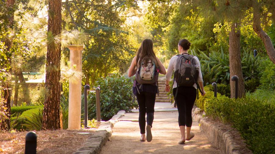 students walking on campus 