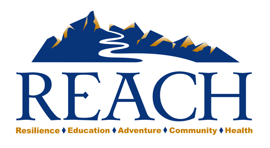 REACH Logo Hig Def